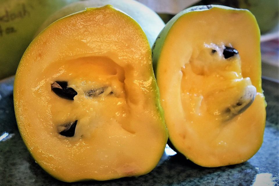 Азимина Shenandoah