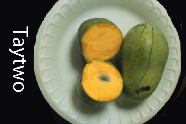 Азимина Taytwo