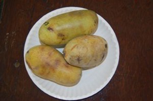 Азимина Виктория