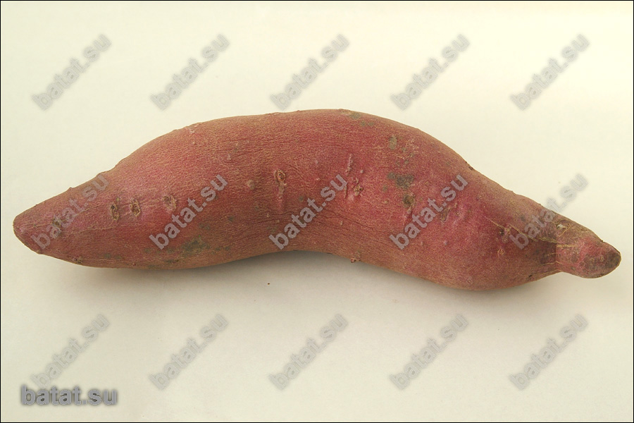 Батат