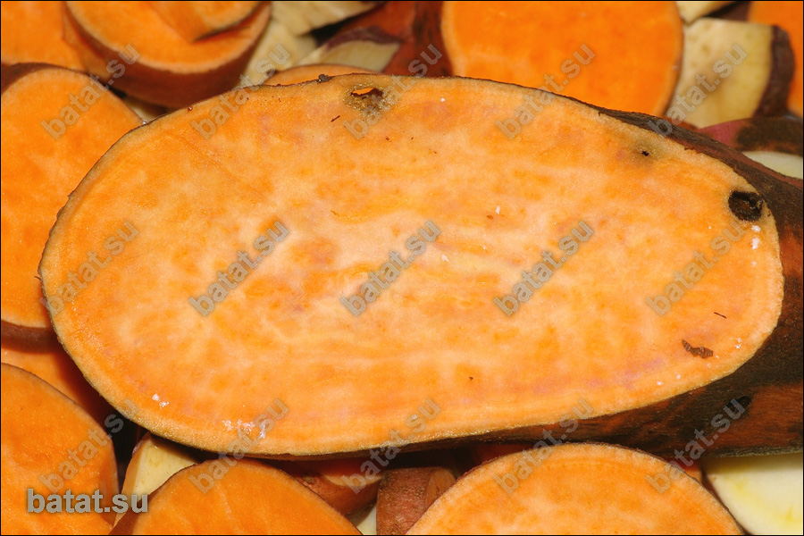 Батат
