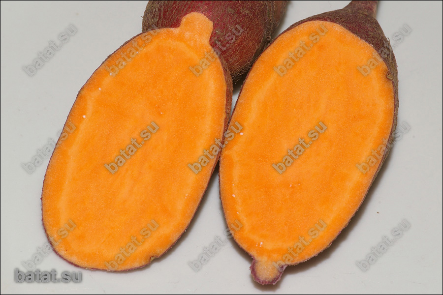 Батат