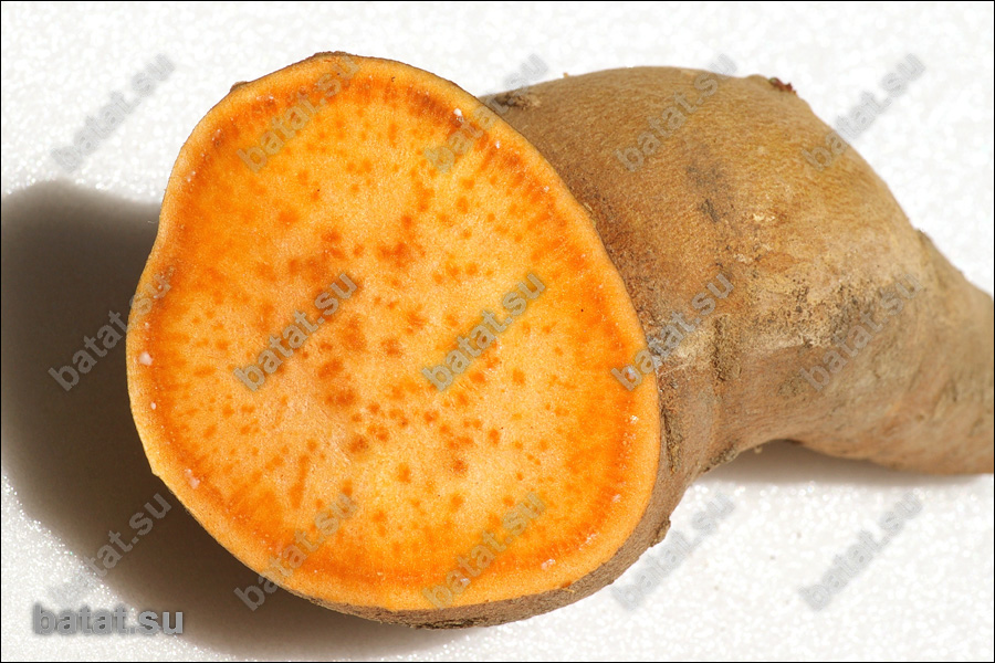 Батат