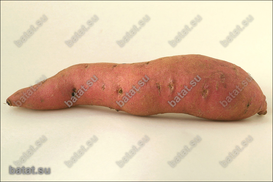 Батат