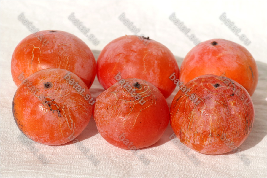 Плоды хурмы Божий Дар.