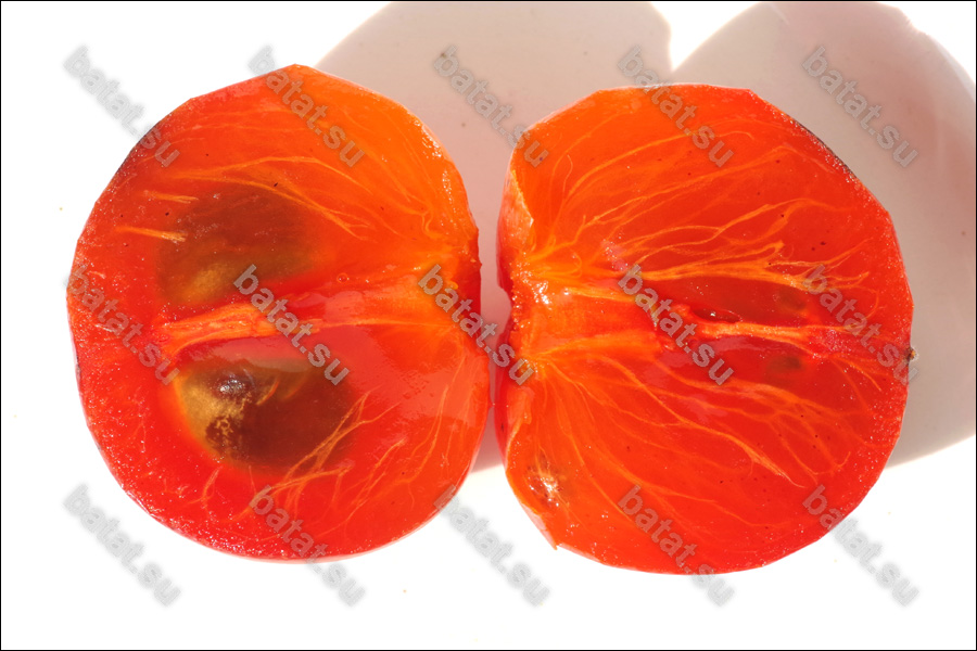 Плод хурмы Чучупака в разрезе.