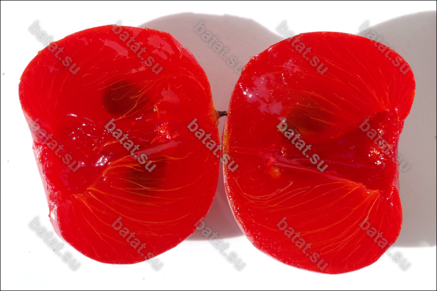 Плод хурмы Никитская Бордовая в разрезе.