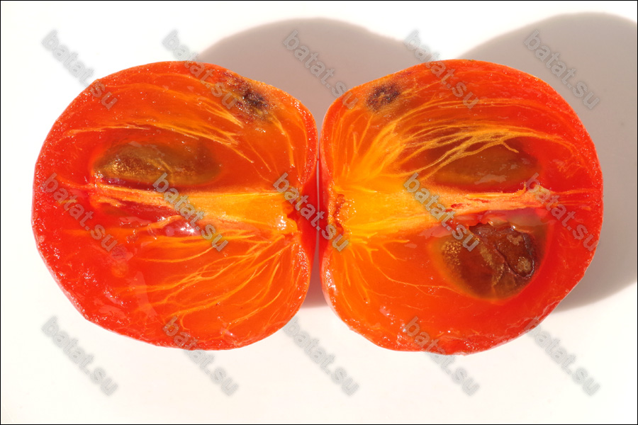 Плод хурмы Сосновская в разрезе.