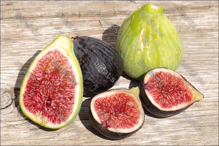 Плоды инжира.