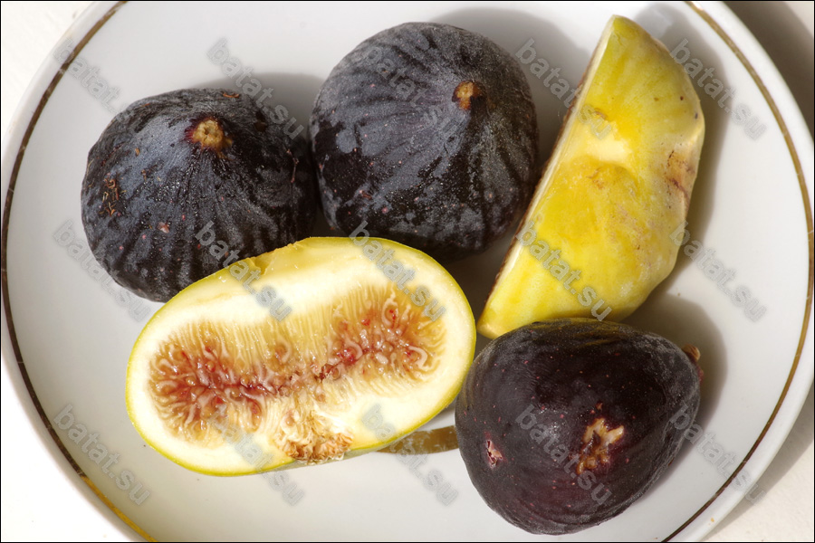 Плоды инжира разных сортов.