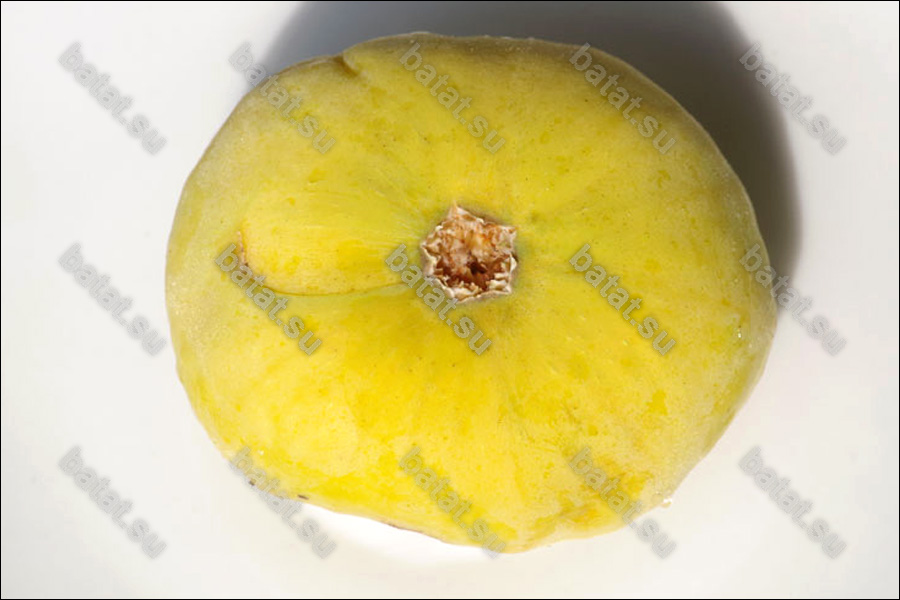 Узбекский Жёлтый, плод.