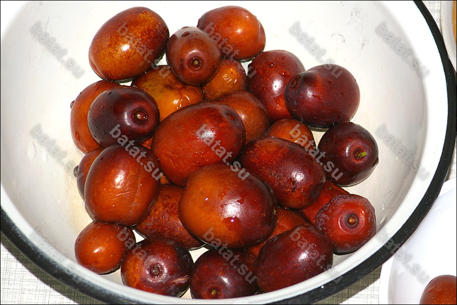 Унаби Китайский-2А, плоды.