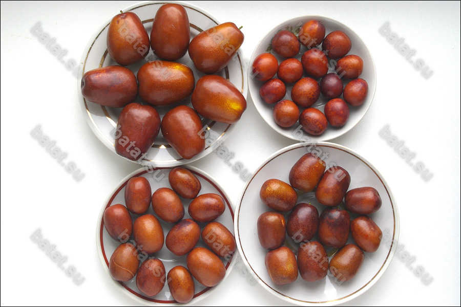 Плоды унаби.